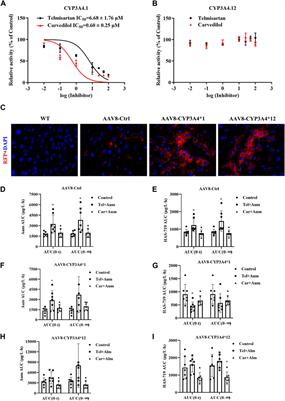 The influence of drug-induced metabolic enzyme activity inhibition and CYP3A4 gene polymorphism on aumolertinib metabolism